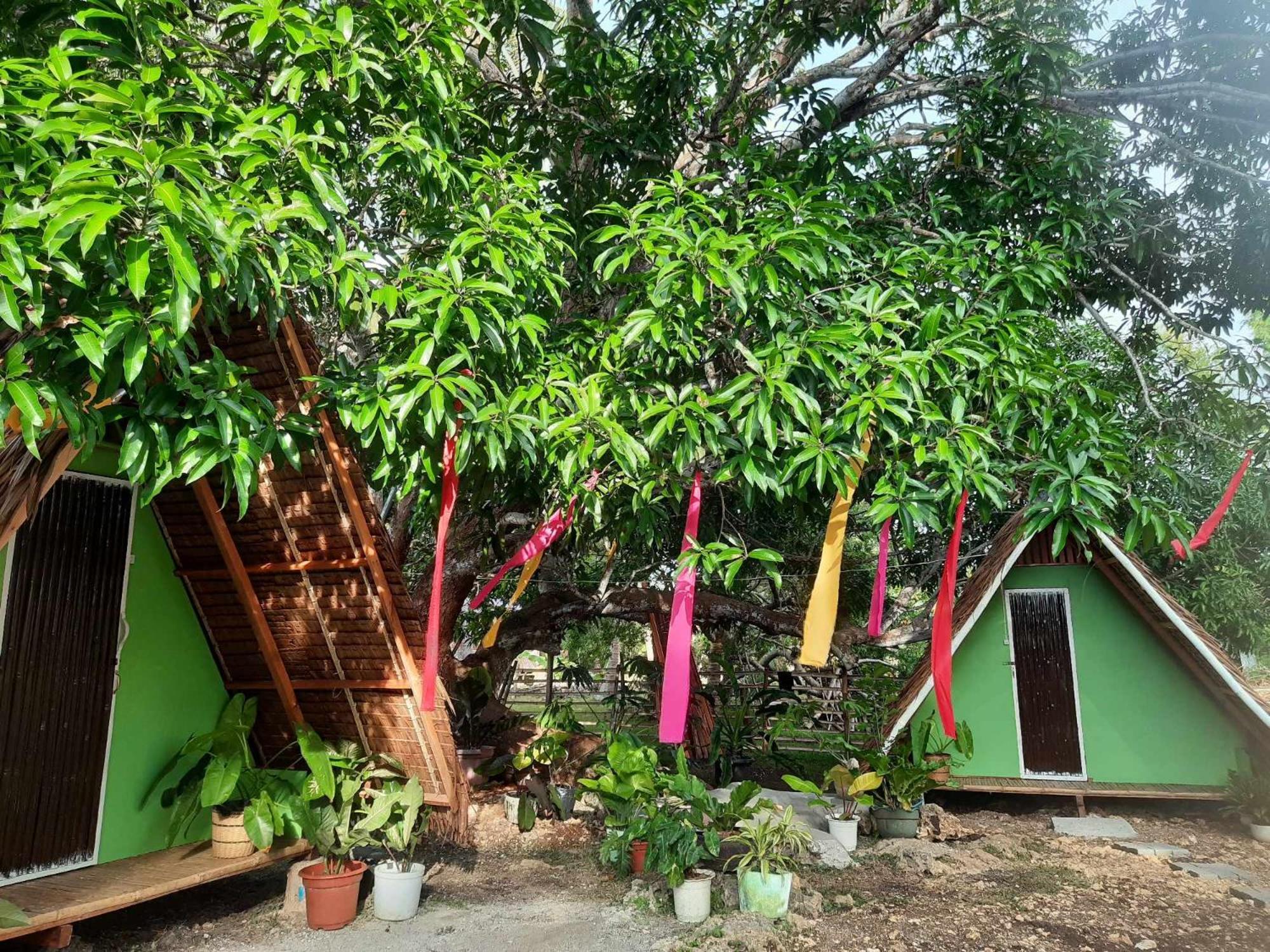 Lagkaw Uno In Lagkaw Homestay Panglao Exterior foto